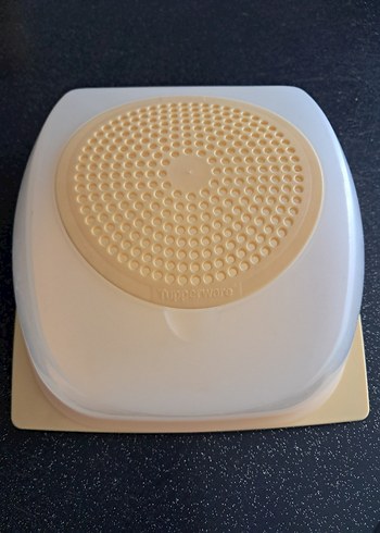 Tupperware Bej Plastik Saklama Kabı