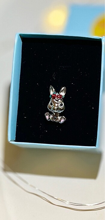 Bunny ve sparkly dog charm