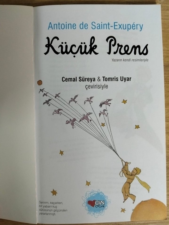 Küçük Prens - Antoine de Saint-Exupéry - Görsel 3
