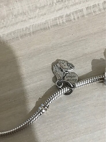Pandora pandora charm