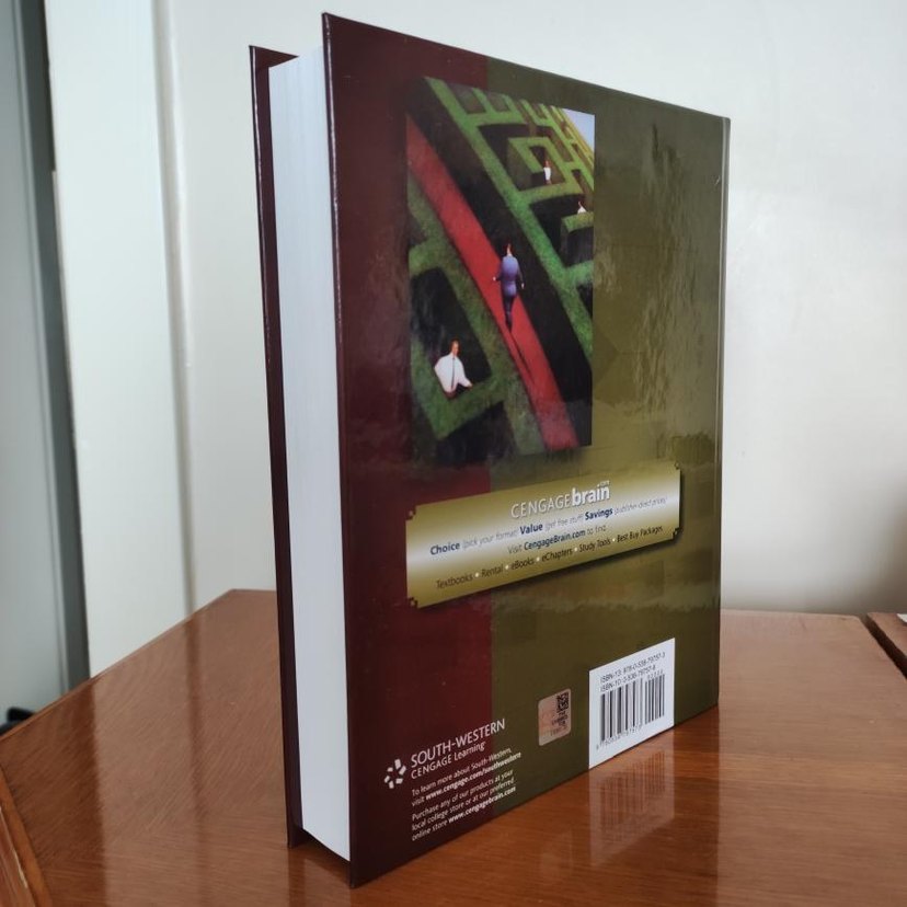 Making Hard Decisions with DecisionTools 3rd edition original - Görsel 2