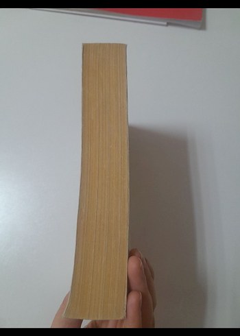 Köygöçüren - Fakir Baykurt - Görsel 3