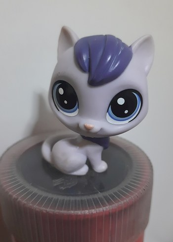 Beden Renk mor kedi lps miniş