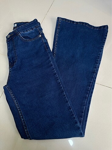 Blue turtle 27 beden