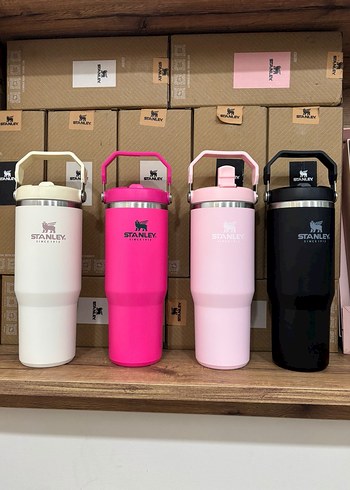 Stanley Beyaz Çocuk Termos Şişesi 887ml - Görsel 6