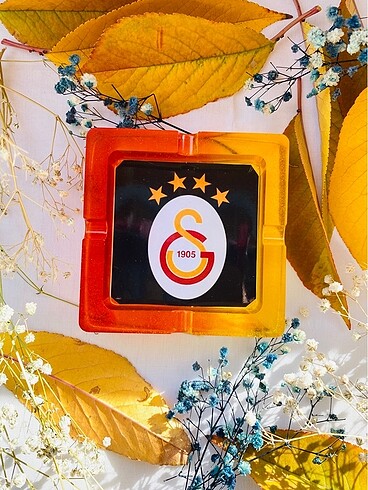 Epoksi Taraftarlı Küllük
