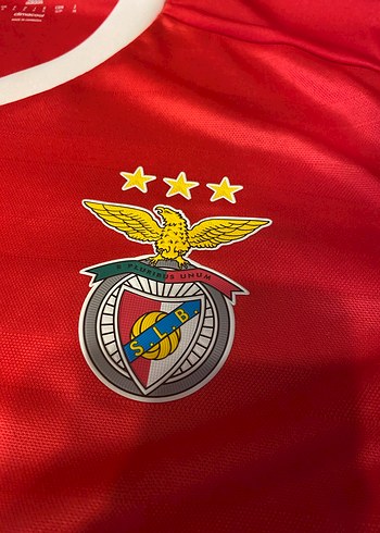 Benfica Orijinal Forma - Görsel 2