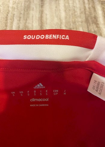 Benfica Orijinal Forma - Görsel 3