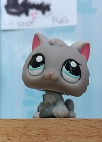 Lps Yavru gri kedi Miniş