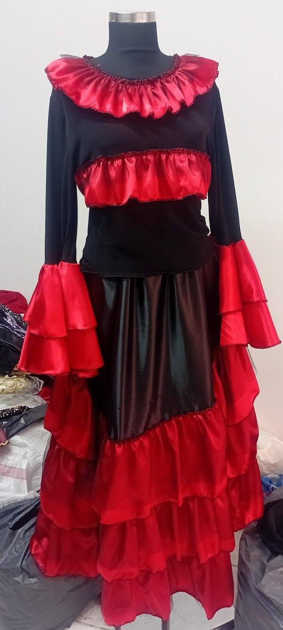 tesettür Romen köstümü - Görsel 2