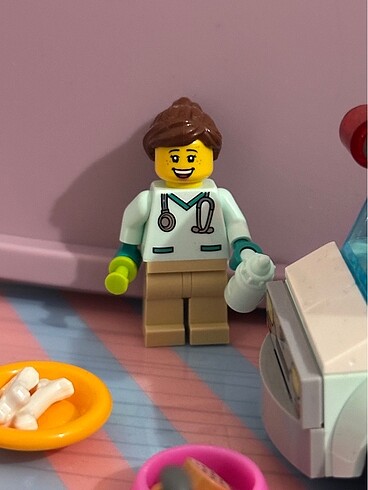 Beden Lego veteriner
