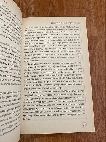  Beden Renk Çocuk ve Anne Baba Yaşam Rehberi