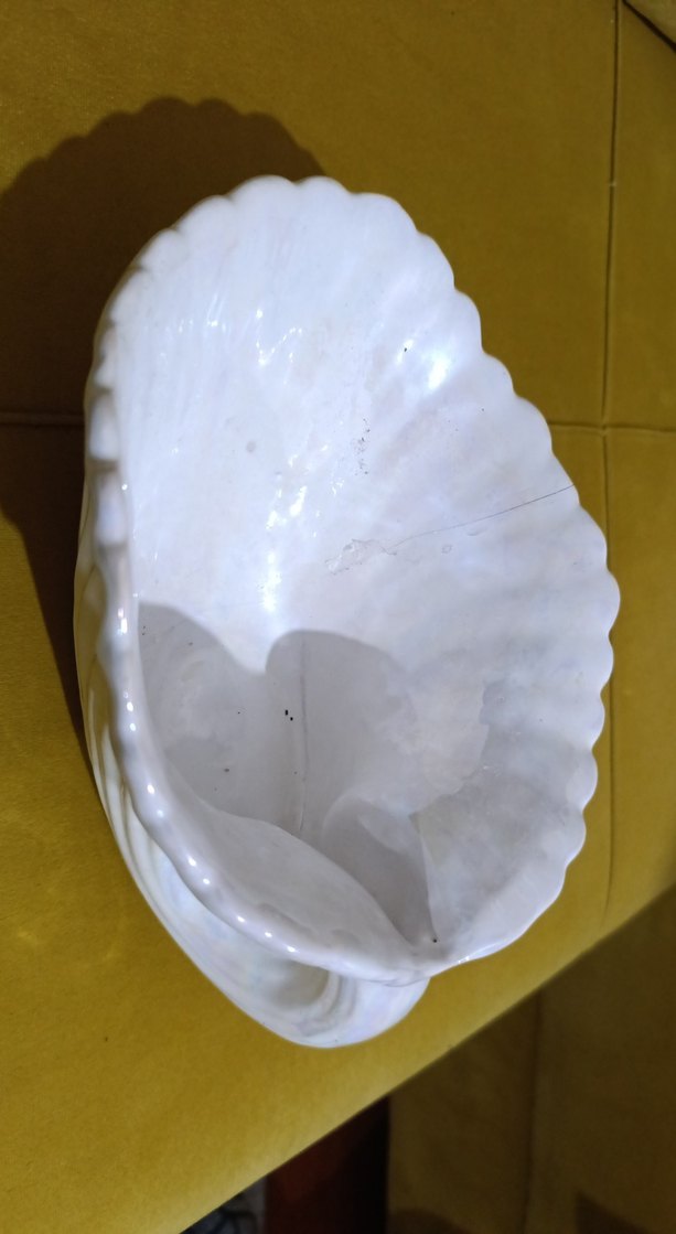 Beyaz Deniz Kabuğu Şeklinde dekor - Görsel 2