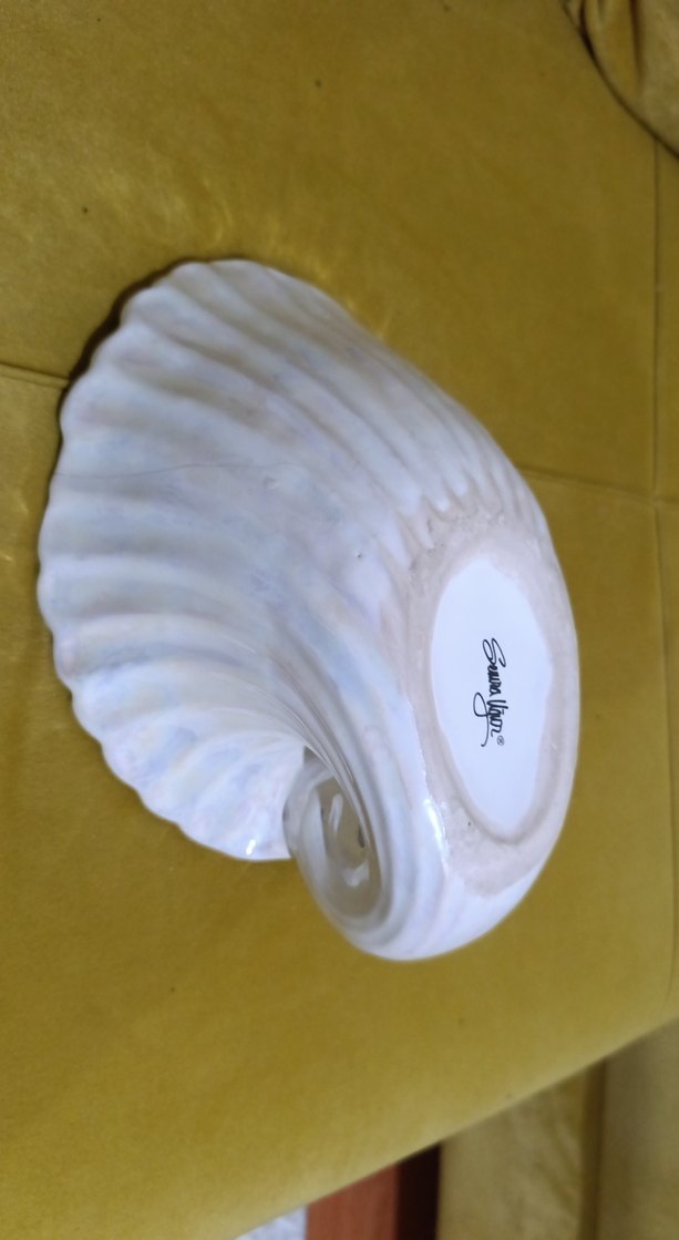 Beyaz Deniz Kabuğu Şeklinde dekor - Görsel 3