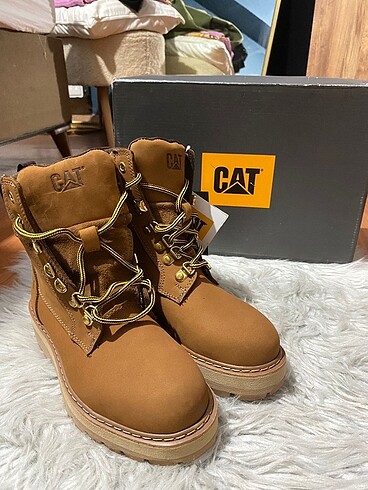 Cat Çat bot