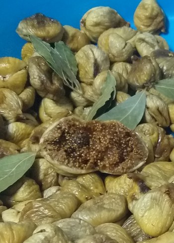 Bej Renkli Gıda Kabı - Görsel 3