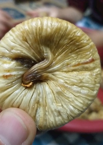 Bej Renkli Gıda Kabı - Görsel 6