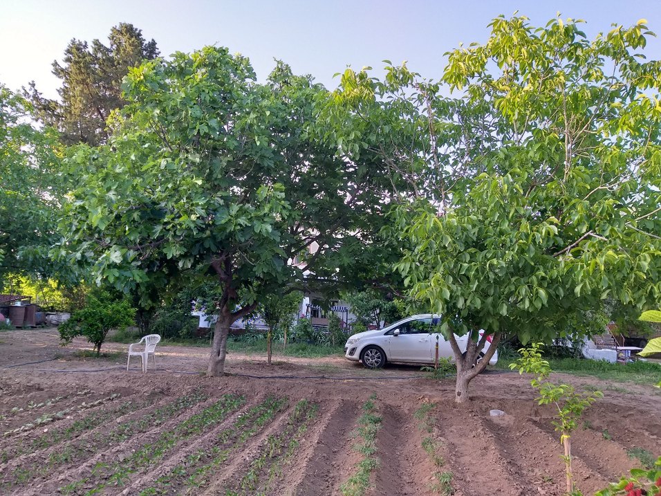 Bej Renkli Gıda Kabı - Görsel 5