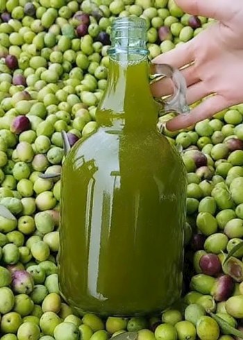 zeytinyagi 0.5 dizem - Görsel 4