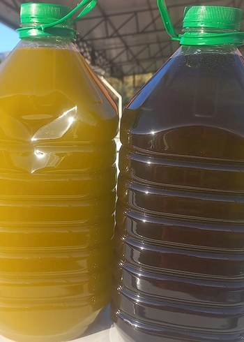 zeytinyagi 0.5 dizem - Görsel 5