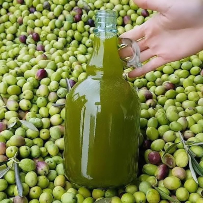 zeytinyagi 0.5 dizem - Görsel 4