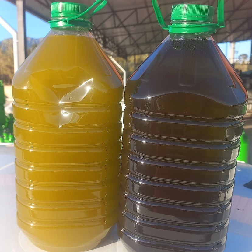 zeytinyagi 0.5 dizem - Görsel 5