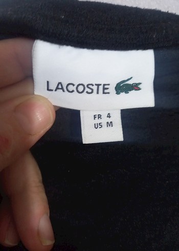 Sarı Kısa Kollu Polo Tişört - Görsel 6