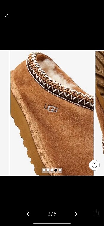 Ugg Ugg Tasman