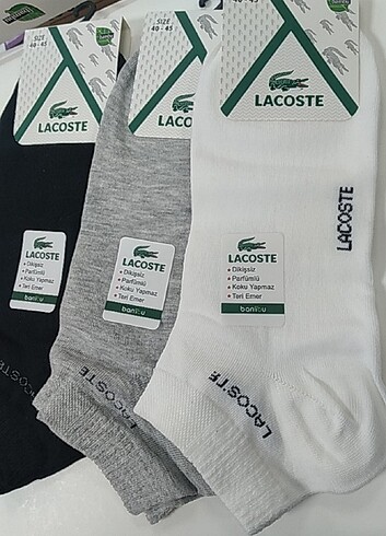 Lacoste Marka erkek patik çorap dikişsiz bambu 