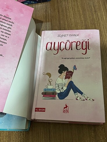 Beden Ayçöreği Serisi