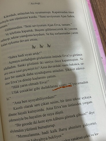 Beden Renk Ayçöreği Serisi