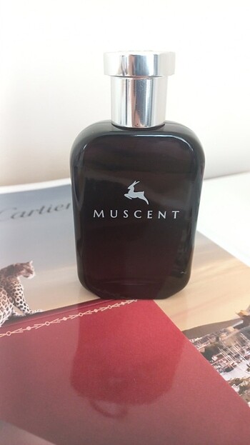 Armani Muscent-Armani my way