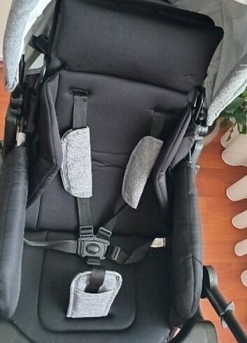 Diğer Baby enzo