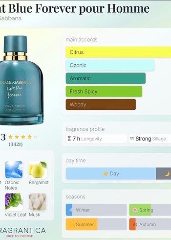 Mfy-Dolce & Gabbana-Light Blue Forever - Görsel 3