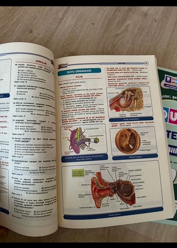 DUS Akademi Diş Hekimliği Kitap Seti - Görsel 5