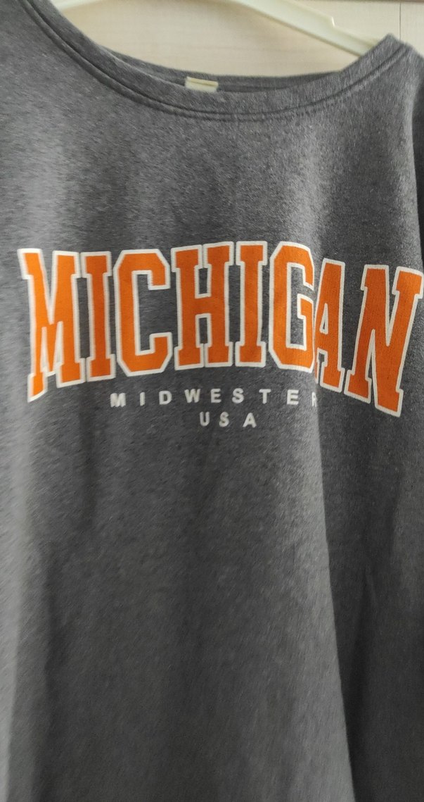 Gri Kadın Michigan Baskılı Sweatshirt - Görsel 2
