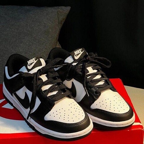 Nike Dunk low ayakkabı