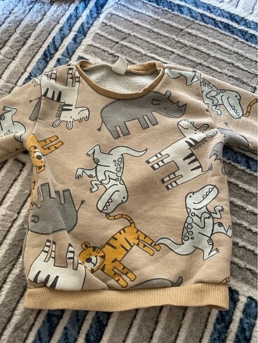 Sweatshirt
