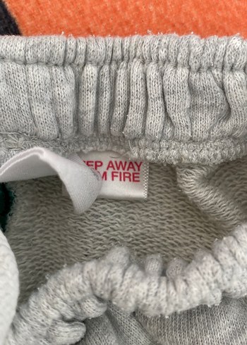 Çok Renkli Baskılı Erkek Şort - Görsel 3