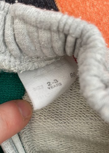 Çok Renkli Baskılı Erkek Şort - Görsel 2