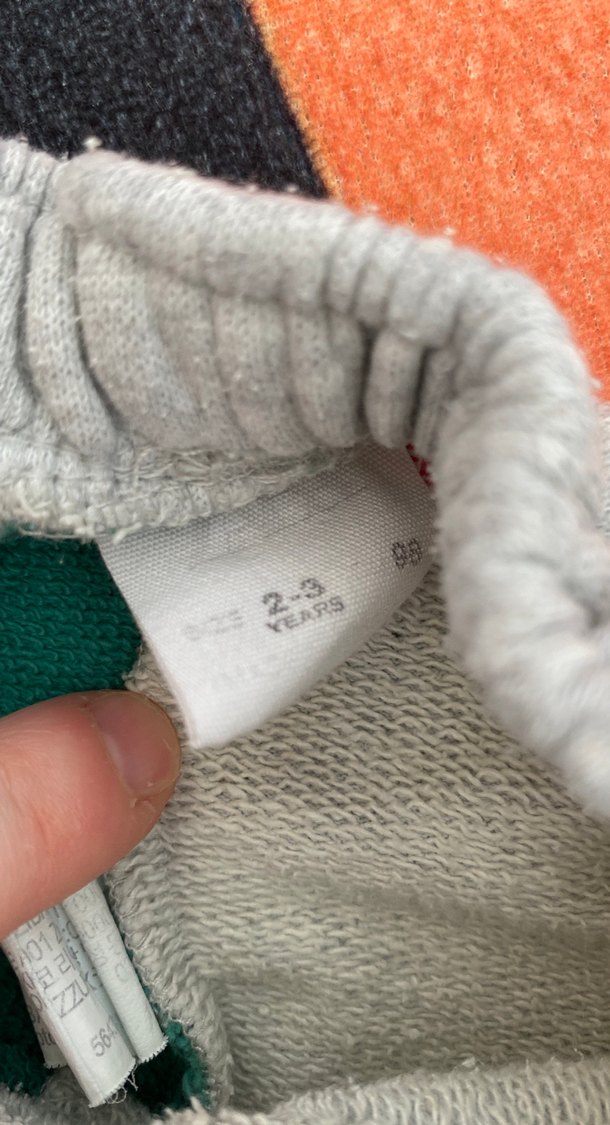 Çok Renkli Baskılı Erkek Şort - Görsel 2