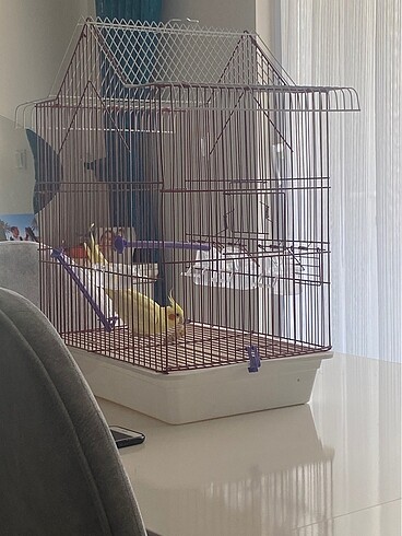 Büyük boy kuş kafesi - Görsel 3