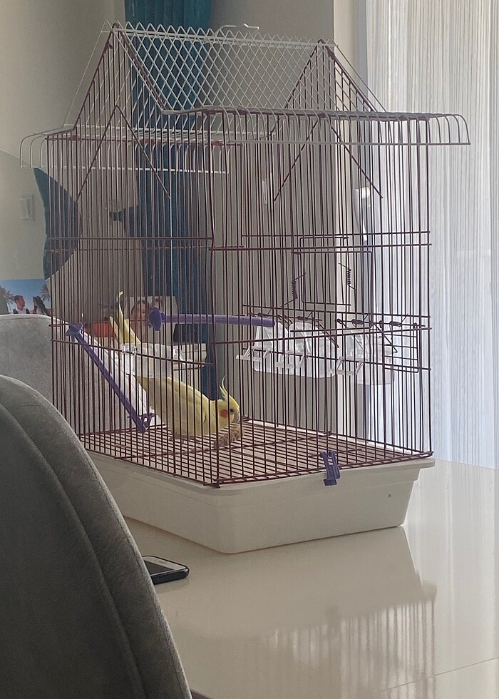Büyük boy kuş kafesi - Görsel 3