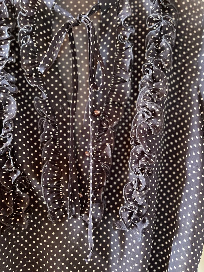 Mavi Puantiyeli Fırfırlı Transparan Kadın Bluz - Görsel 4