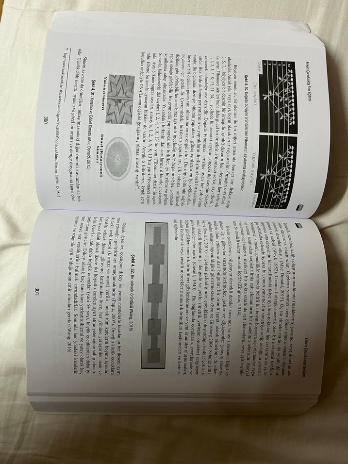 Nobel Yayınları Erken Çocuklukta Fen Eğitimi Kitabı - Görsel 3
