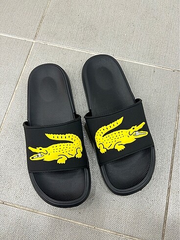 LACOSTE TERLİK 40-41-42-43/44-45 NUMARALAR