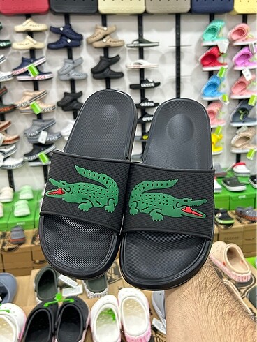 LACOSTE TERLİK 43 NUMARA