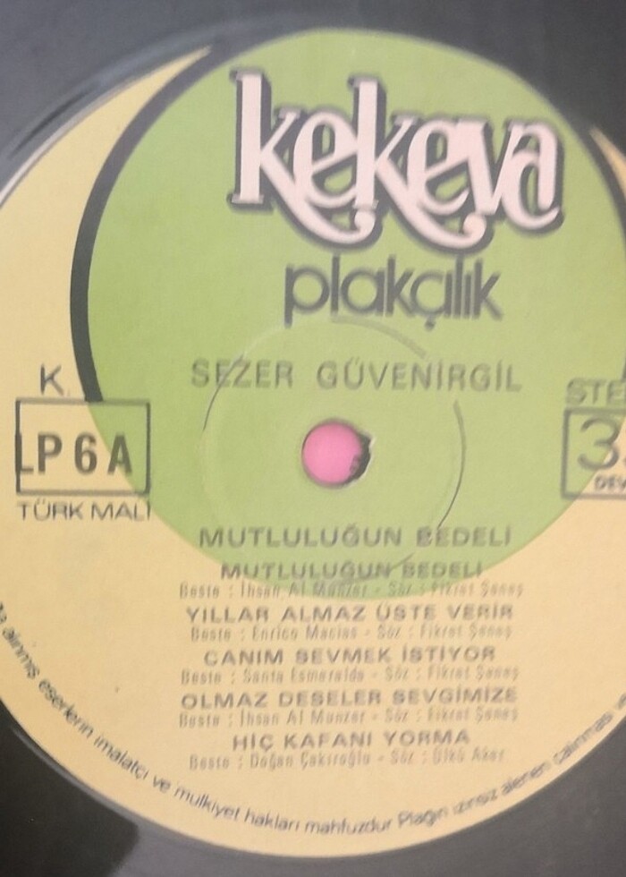 İki adet dönem 33'lük plak  - Görsel 4