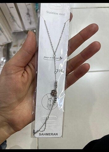 ÇELİK ZARİF ŞAHMERANLARİMİZ  - Görsel 2