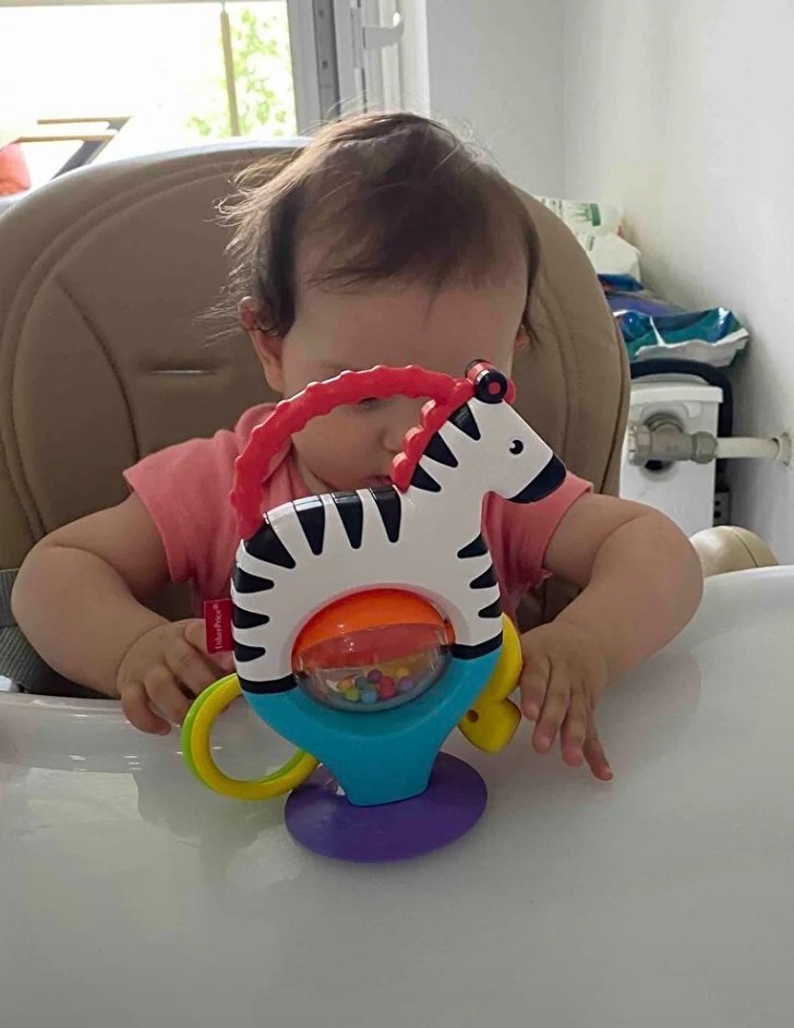 Renkli Zebra Dişlik ve Çıngırak Oyuncak - Görsel 2